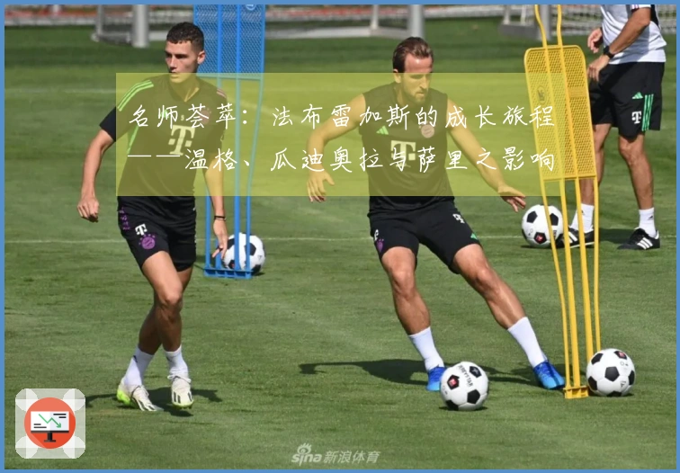 名师荟萃：法布雷加斯的成长旅程——温格、瓜迪奥拉与萨里之影响